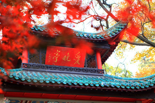 &#20048;&#40060;&#25163;&#26426;&#20837;&#21475;&#45;&#108;&#101;&#121;&#117;&#40;&#20013;&#22269;&#41;